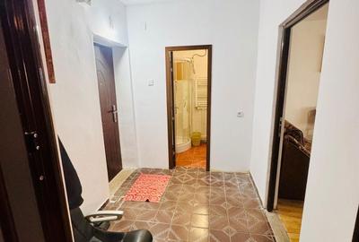 Apartament cu 2 camere semidecomandat în Vișan - 10