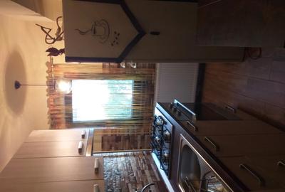 Garsoniera de inchiriat - 12