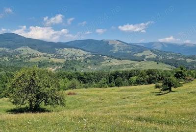 Teren de 1000 mp, în Nord - 4