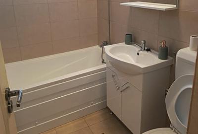 Apartament 2 camere de inchiriat Gorjului Pacii - 2