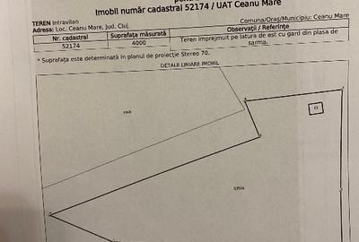 Teren Construcții intravilan de 4000 mp, în Ceanu Mare - 1
