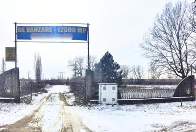 Spațiu comercial, de 144 mp, în Ulmi - 11