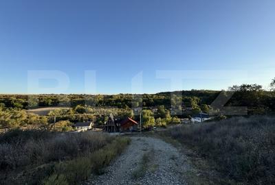 Casa Satul de vacanta Podari, 500 mp teren, priveliste panoramica - 2