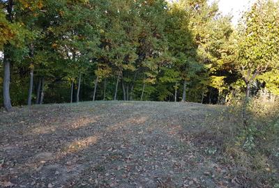 Teren livadă cu panoramă superbă Dealul Malului pentru casă sau cabană - 20