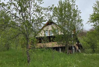 Casă cu 4 camere cu Teren 3000 Mp în Făget - 6