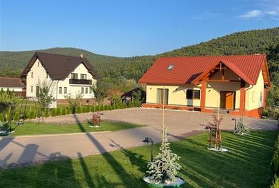 Casă individuală cu 6 camere cu Teren 3000 Mp în Văleni-Stânișoara - 12