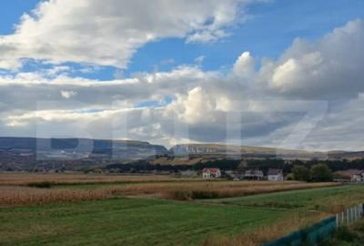 Casă cu 4 camere cu Teren 1400 Mp în Mihai Viteazu - 15