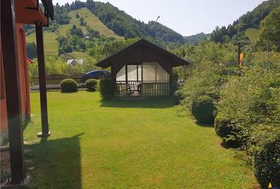 FILM!  Moieciu de Jos, Bran, pensiune in conditii apreciabile - 6