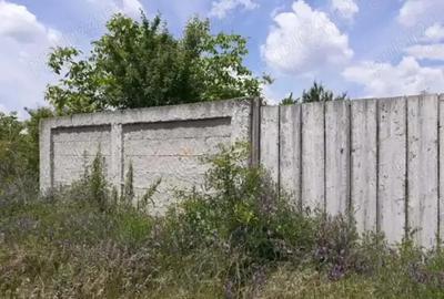 Teren de 1600 mp, în Dragomirești-Vale - 9