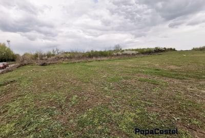 Sisesti str.Dirijorului (in capatul str.Al.Bratu) 1000 mp deschidere 18,27 ml - 4