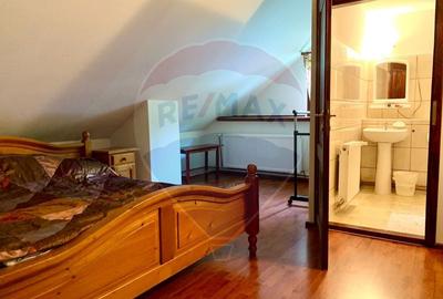 Pensiune cu 13 camere de vanzare in Bulz - 38