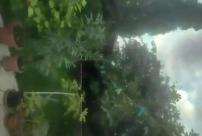 Casă cu 3 camere în Cantemir - 4