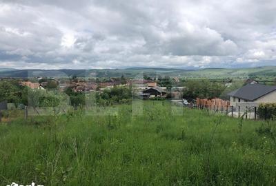 Teren de 10656 mp, în Bod - 8