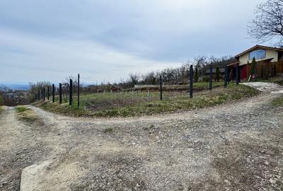 Teren de 550 mp, în Dacia - 2