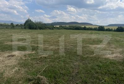 Teren extravilan 1200 mp Dorolea, aproape de Manastire - 8