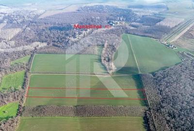 Teren langa Manastirea Sfantul Nicolae Sitaru - 7