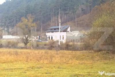 Casă cu 7 camere cu Teren 5000 Mp în Surduc - 2