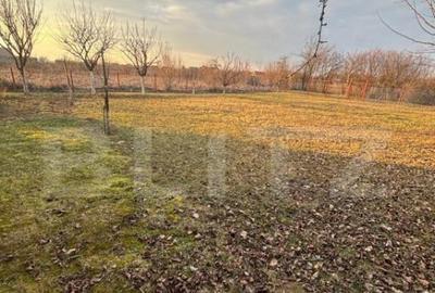 Teren intravilan 6,52 arii cu cabana zona Paule?ti - 2