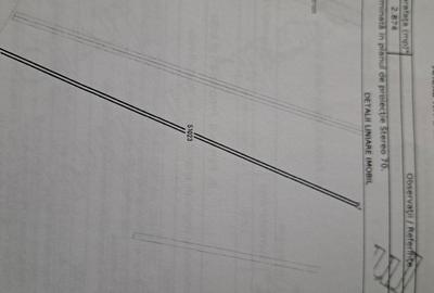 Spațiu comercial, în Dosu Bricii