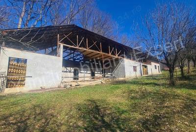 Casă cu Teren 9815 Mp în Borovinești - 4