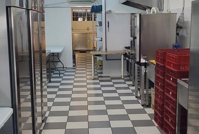 Aviatiei : Spatiu comercial ideal pentru investitie ! - 5