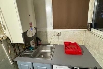 Apartament cu 1 camera - zona Nicolina - Lidl - 3