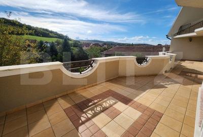 Casa superba cu 13 camere in Sangeorgiu de Mures - 12