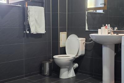 Vila de vanzare cu teren generos zona Ciolpani - 24