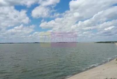 Teren de 131935 mp, în Est - 4