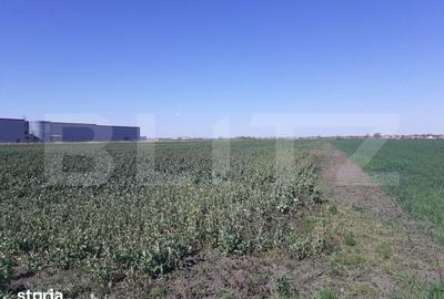 Teren de 30000 mp, în Sânandrei - 1