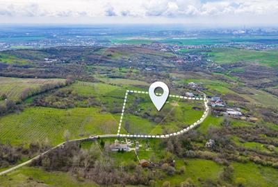 Teren Construcții intravilan de 33500 mp, în Valea Orlei - 2