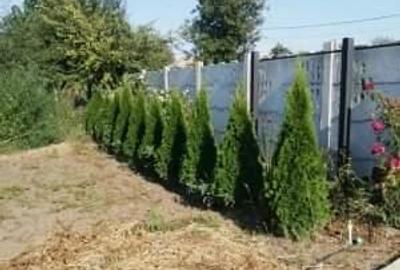 Casă cu 5 camere cu Teren 2600 Mp în Conțești - 1