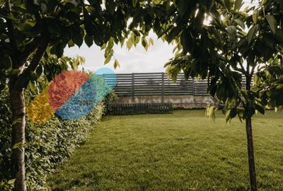 Casa individuala  115mp mobilata utilata – Dezmir - 18