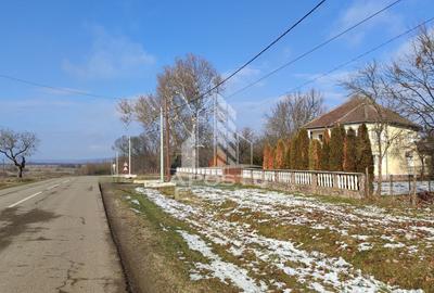 Teren Construcții intravilan de 5000 mp, în Nord - 5