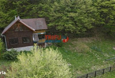 Casă cu 4 camere în Ighiel - 13