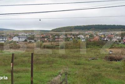 Spațiu comercial, în Chinteni - 2