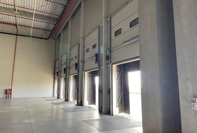Spatiu de depozitare si productie centru logistic  Chitila-Buftea - 3