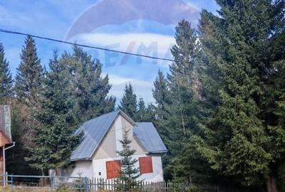 Cabana in Muntele Baisorii - Zona Mera - 11