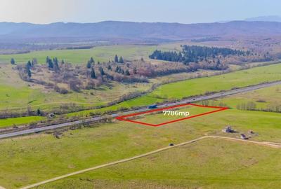 Teren 7786 mp/Curți construcții/Benzinărie - 3