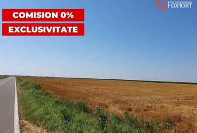 COMISION 0% Teren extravilan 4,47 ha, 800m front stradal, Peciu Nou - ID V5491 - 4
