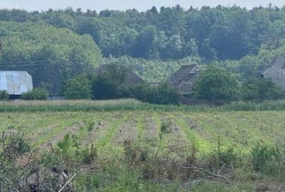 Teren generos, intravilan, 13.518 mp, Marginea - 7