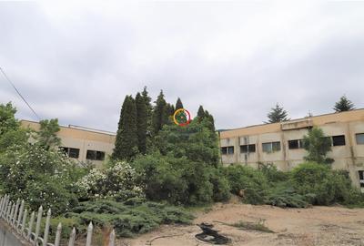 Spațiu comercial, de 3,725 mp, în Central - 3