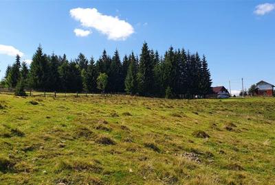 Teren Construcții de 1350 mp, în Beliș - 9