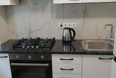 Inchiriere apartament 2 camere Ozana - 1