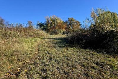 Casă individuală cu 5 camere cu Teren 2700 Mp în Alexandru cel Bun - 20