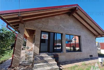 Vila 4+ camere, iaz cu peste, livada, 5300 mp teren, foisor, pivnta si crama, in - 9