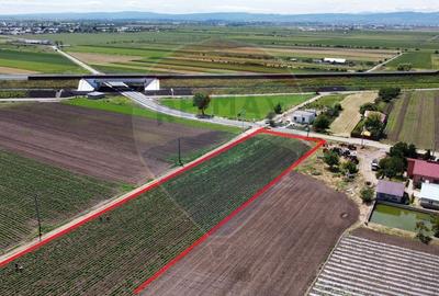 Teren Construcții intravilan de 6084 mp, în Jorăști - 1