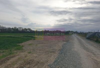 Teren Construcții intravilan de 7567 mp, în Sud - 8