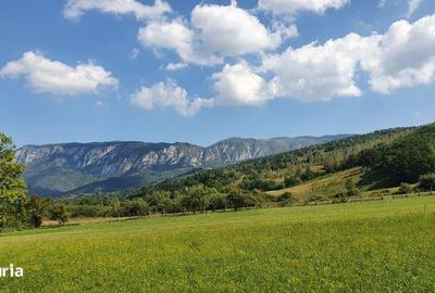 Teren de 3700 mp, în Sălciua - 4