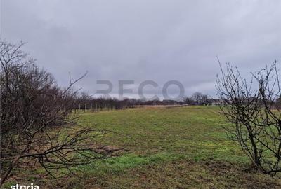 Casă cu 4 camere cu Teren 4600 Mp în Gepiu - 3